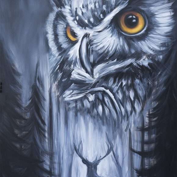 Owl In The Dark